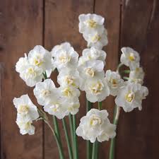 Narcissus Bridal Crown