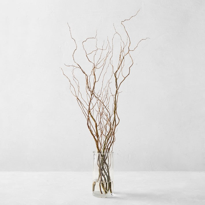 Curly Willow