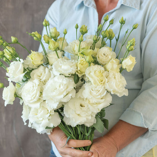 Lisianthus-White
