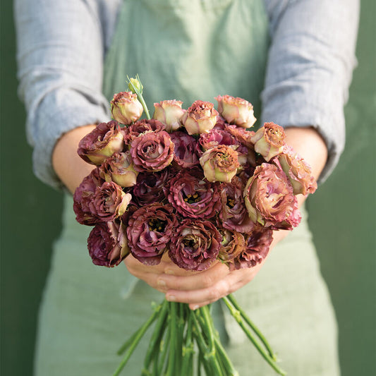 Lisianthus-Roseanne Brown