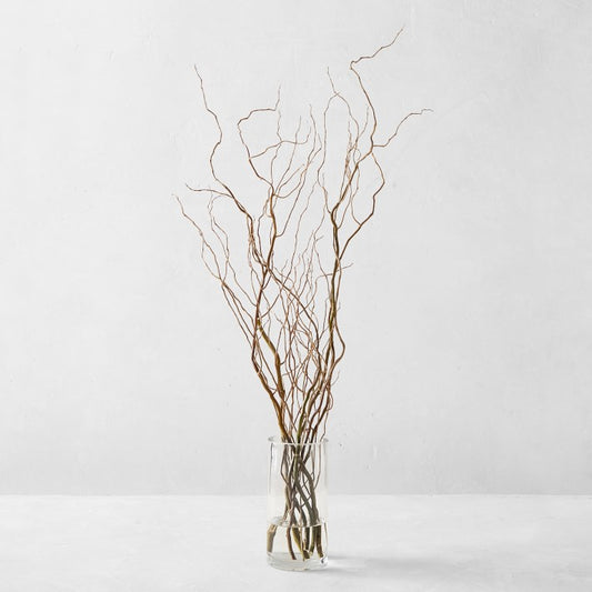 Curly Willow